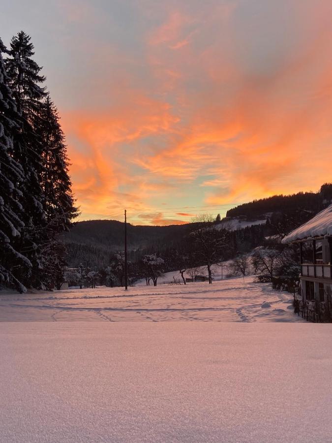 شقة Nikolaierhaus Feldkirchen in Kärnten المظهر الخارجي الصورة