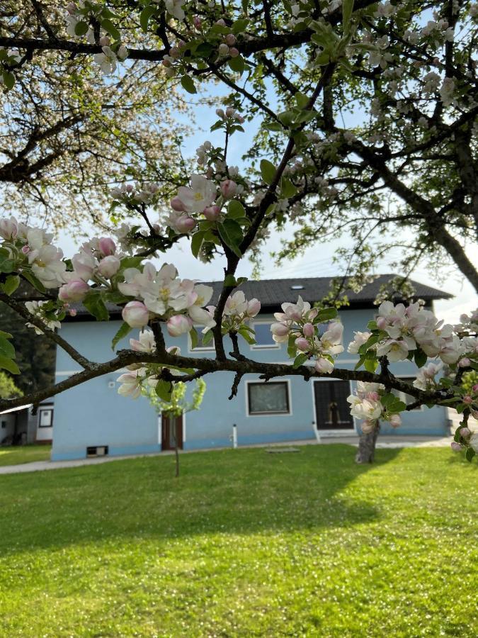 شقة Nikolaierhaus Feldkirchen in Kärnten المظهر الخارجي الصورة