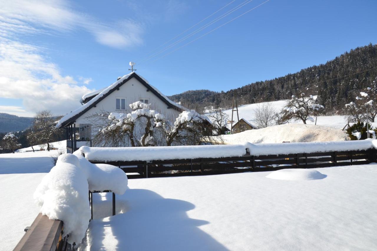 شقة Nikolaierhaus Feldkirchen in Kärnten المظهر الخارجي الصورة