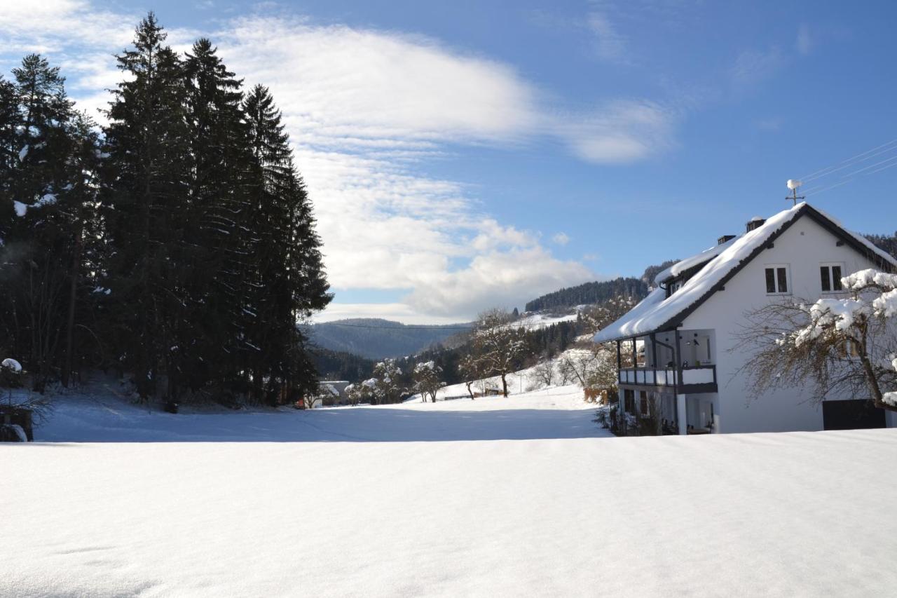 شقة Nikolaierhaus Feldkirchen in Kärnten المظهر الخارجي الصورة